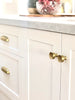 Atticus Knob - Burnished Brass:Hepburn Hardware
